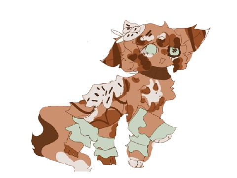 very late cotae