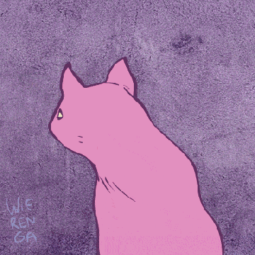 Kitty Phonk ⟪✧⟫ Animeme ☆