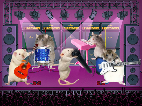 Rat Band