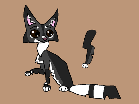 Raccoontail