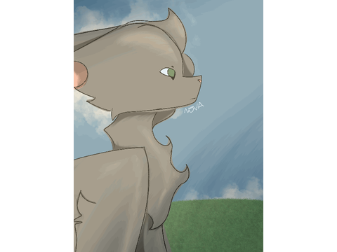 Random Animation 