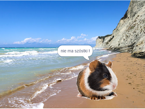 znajdź szóstkę !