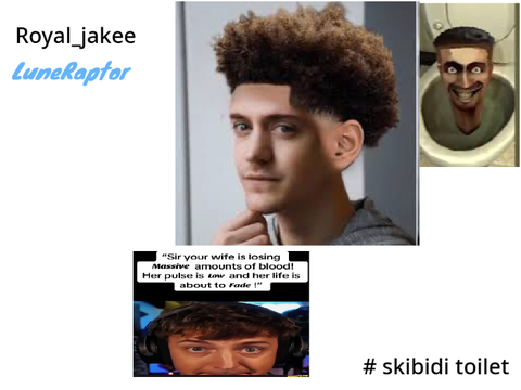 Sign ts(this) to keep Skibidi toilet alive remix