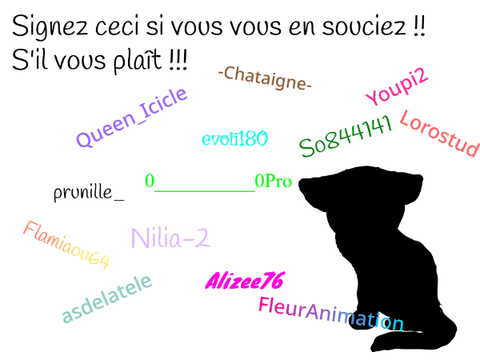 SAVE BLACK CATS !!! remix remix