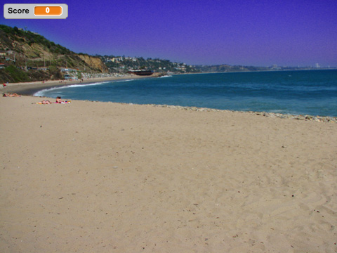 Beach Ball Catch