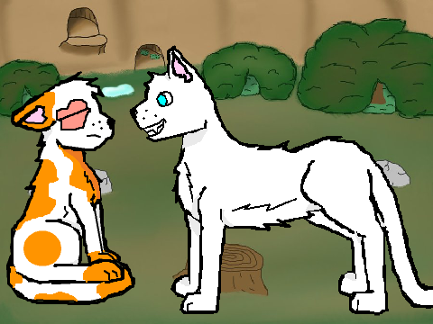 Warrior Cat CCE Brightheart and Cloudtail