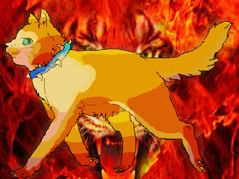 Bloodclan Cat CC ~ AHA! remix