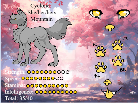 ※|Cyclone|※