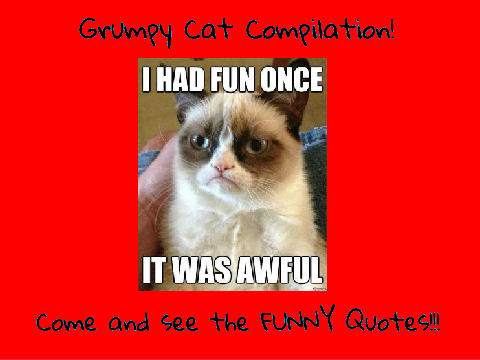 Grumpy Cat Compilation!
