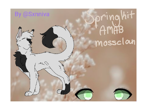 SPRING KIT REF