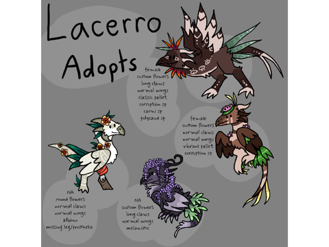 CLOSED48 hour Lacerro OTA