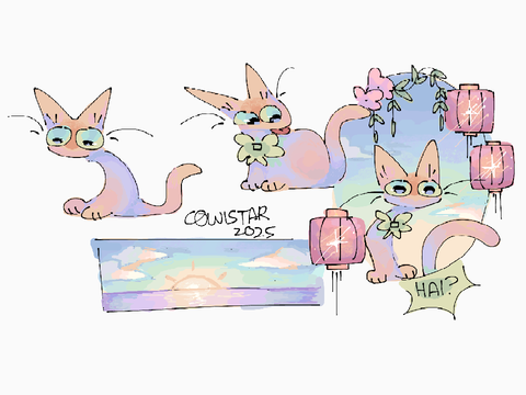✧ the sunset ,, 
