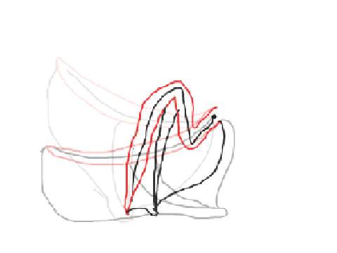 Practicing Wing animating