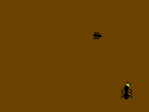 ant farm