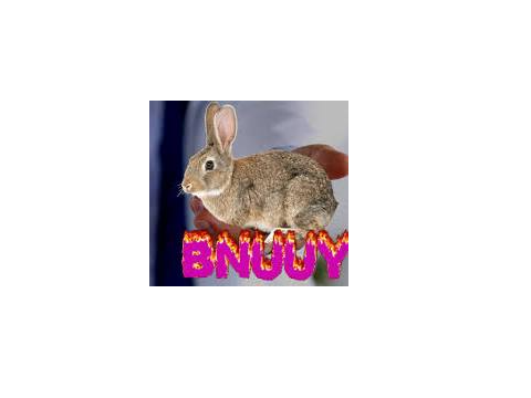 um bunnypinkie.... i think it found ur cousin