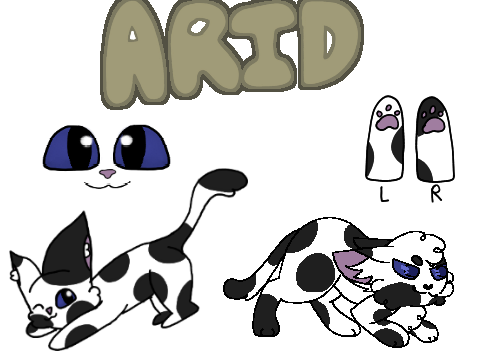 [C] ⫺ ʙʀᴀvᴇ ʟɪᴛᴛʟᴇ soʟᴅɪᴇʀ ⫹  An Aridkit application