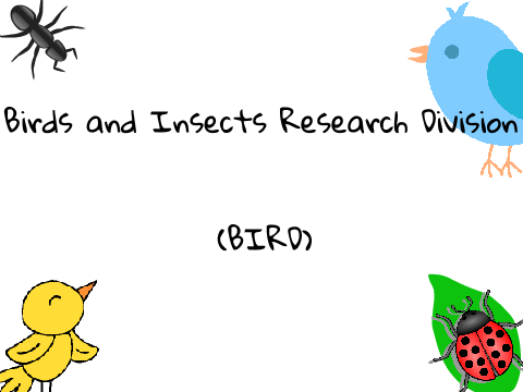 Logo for Birds and Insects Research Division (Studio
