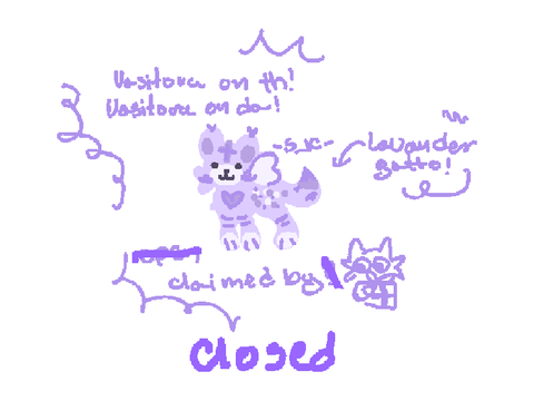 **** lavender gatto