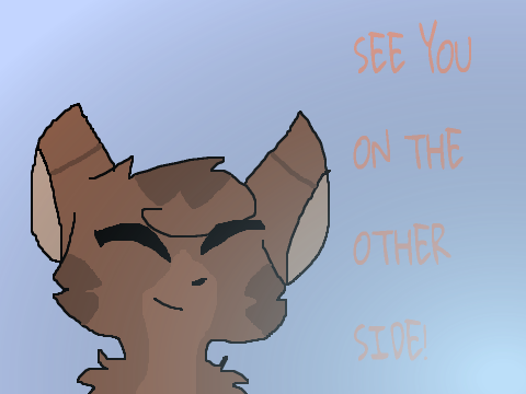 ~ UPDATES ~