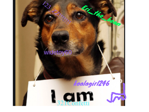 SIGN IF YOU ARE AGAINST ANIMAL ABUSE!!!! remix remix remix remix remix