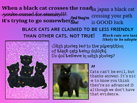 #BlackCats: They Aren't Unlucky remix remix remix remix remix remix remix remix remix remix r… remix