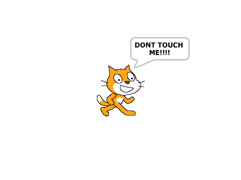Do not touch the cat