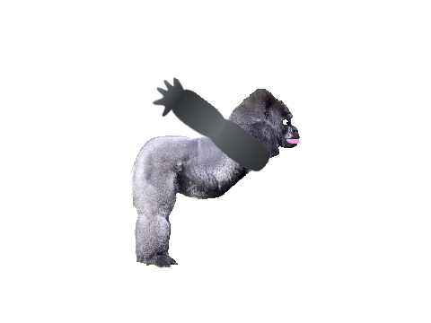 Gorilla