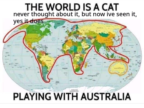 Cat is the world