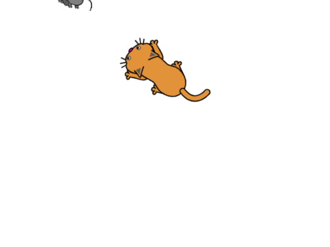 Cat&Mouse
