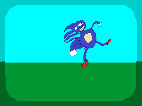 SANIC SIMULATOR