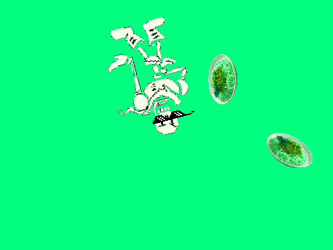 2sawg4u