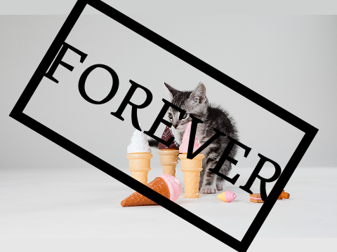 Kittens and ice cream FOREVER