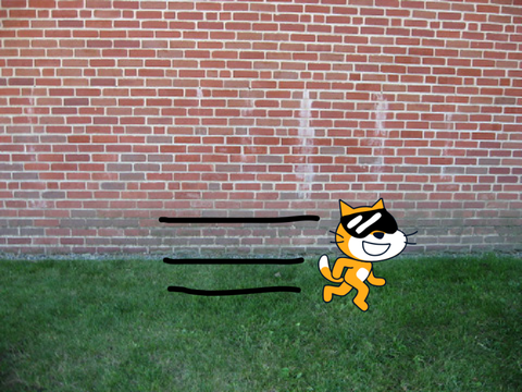 Sigma Cat