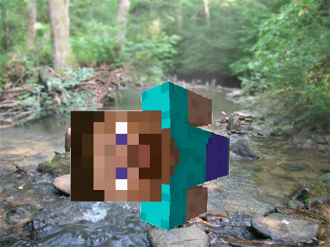 Minecraft Steve 