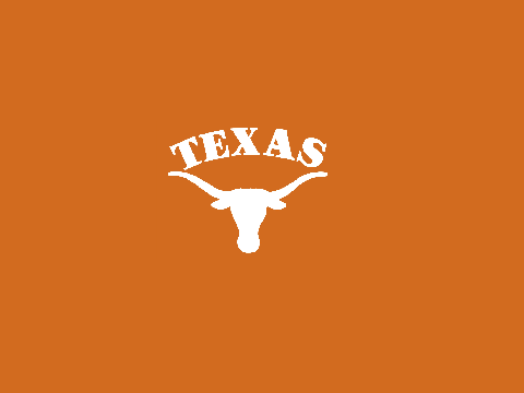 Texas Longhorns Screen-Saver