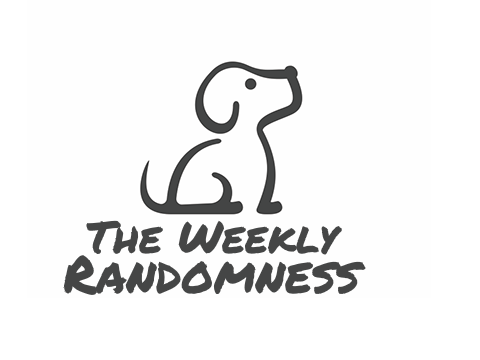 My Newsletters Logo