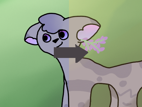 My *attempt* At Rendering!