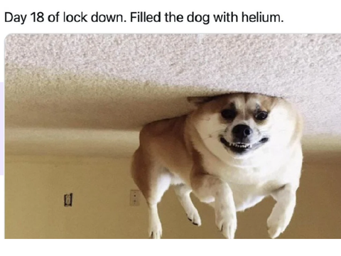 JUST A POLITE REMINDER