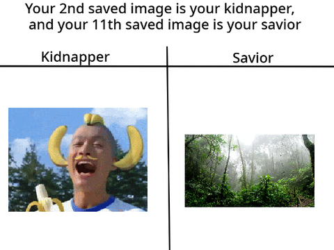 Your 2nd saved image is your kidnapper, and your 11th saved image is your savior  remix remix remix