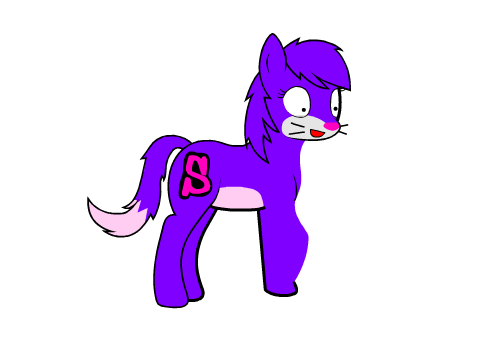 Clever Pony 