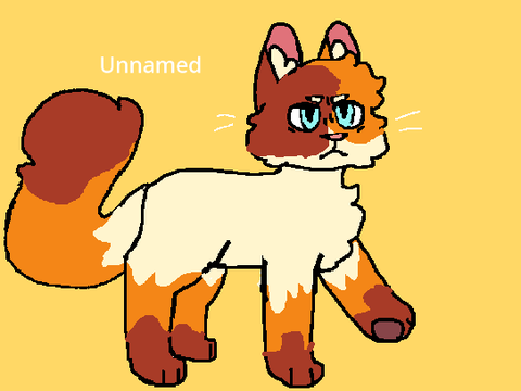 random cat