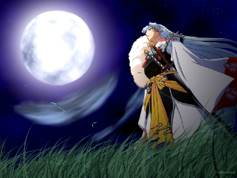 Fukai Mori 