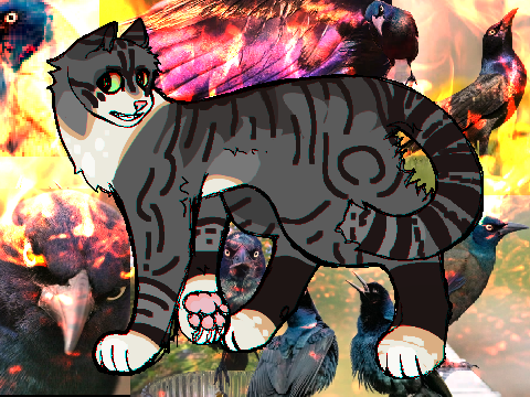 Grackleblaze Ref + Info