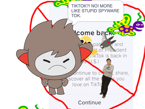 TIKTOK IS SUPER DUMB