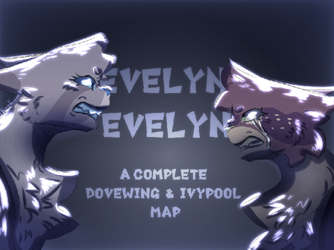 • Evelyn Evelyn TNE •