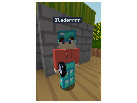 Blder in bloxd.io