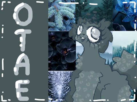 ❀ COTAE - Spruce Blue + Orchid ❀