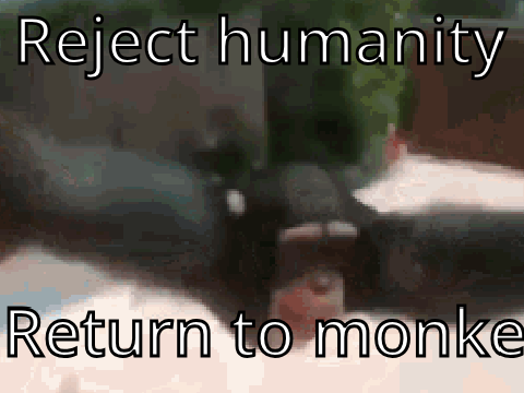 Repost if You Want to Return to a MONKE!!!