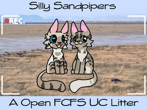 !CLOSED! Silly Sandpipers - A FCFS Donated Urchinclan Litter