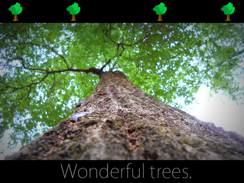 Wonderful Trees (Add your own tree)